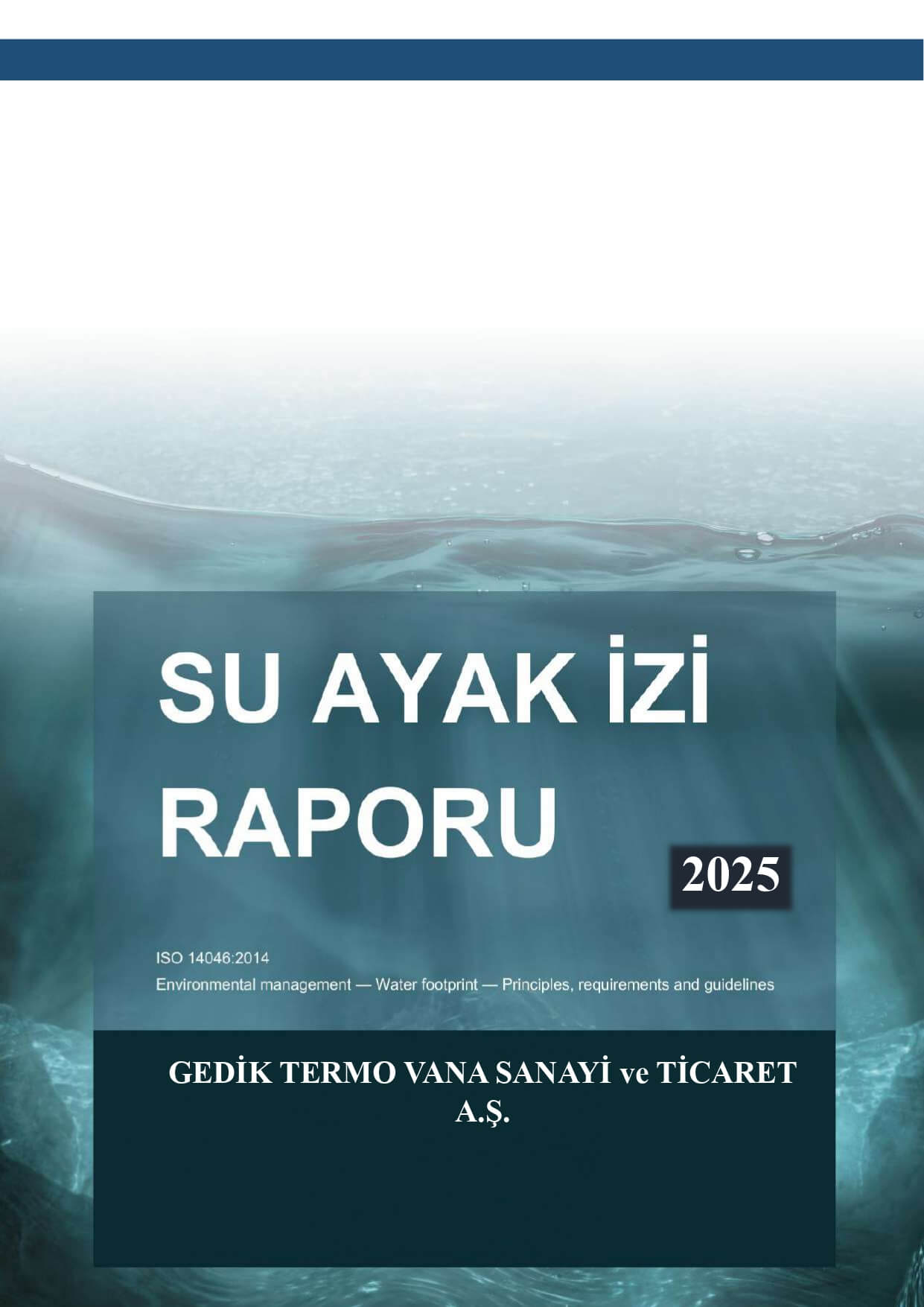 Su Ayak İzi Raporu